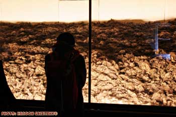 IMG_ (11822)